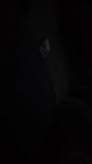 A7e5d730356ac4fa5ac132353abae4063t.jpg